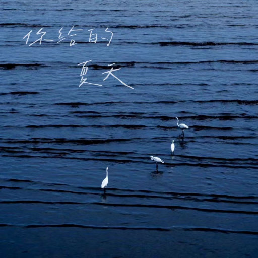 王鸥美女一级毛片
